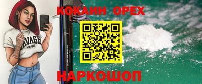 альфа пвп Новодвинск