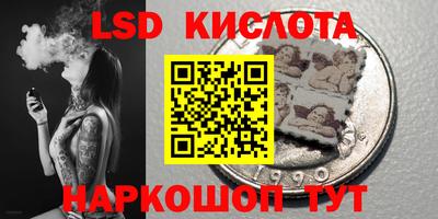 индика Новозыбков