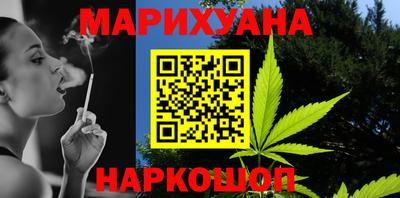 индика Новозыбков