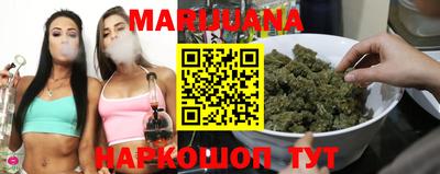 индика Новозыбков