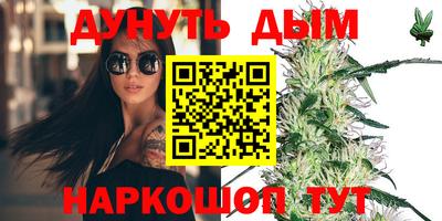 альфа пвп Новодвинск