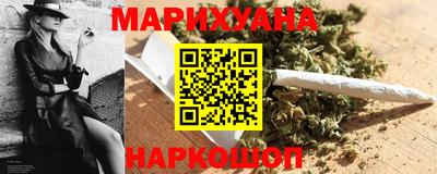 индика Новозыбков