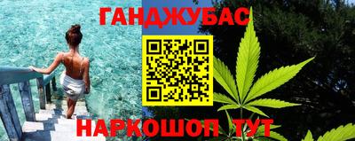 индика Новозыбков