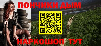 индика Новозыбков