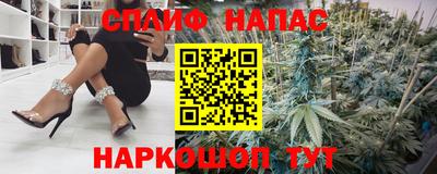индика Новозыбков
