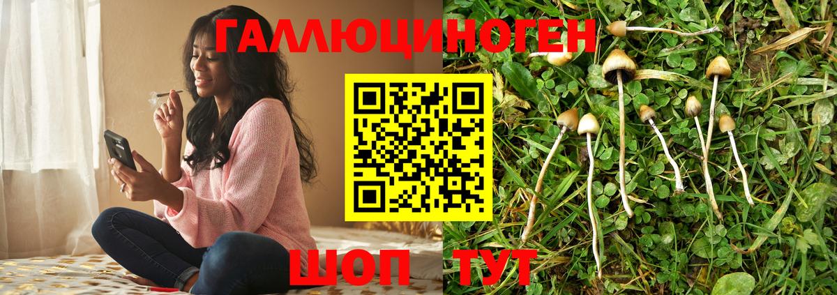 Химки  Псилоцибиновые грибы ЛСД  Вход с VPN  закладка  Галлюциногенные грибы Psilocybe 