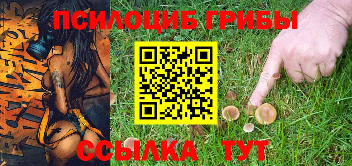 Псилоцибиновые грибы MAGIC MUSHROOMS Химки